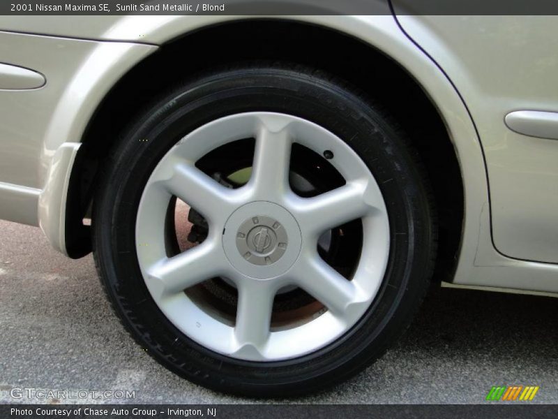 Sunlit Sand Metallic / Blond 2001 Nissan Maxima SE