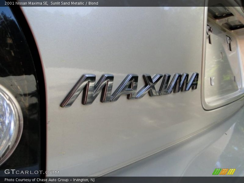 Sunlit Sand Metallic / Blond 2001 Nissan Maxima SE