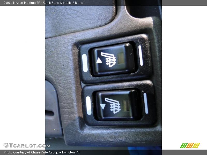 Sunlit Sand Metallic / Blond 2001 Nissan Maxima SE