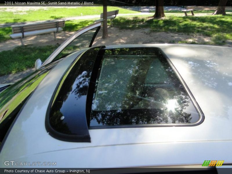Sunlit Sand Metallic / Blond 2001 Nissan Maxima SE