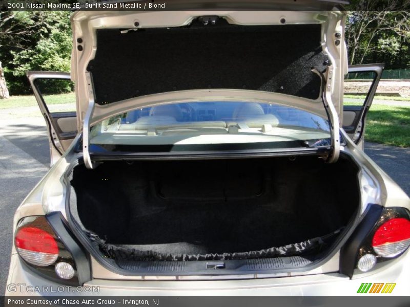 Sunlit Sand Metallic / Blond 2001 Nissan Maxima SE