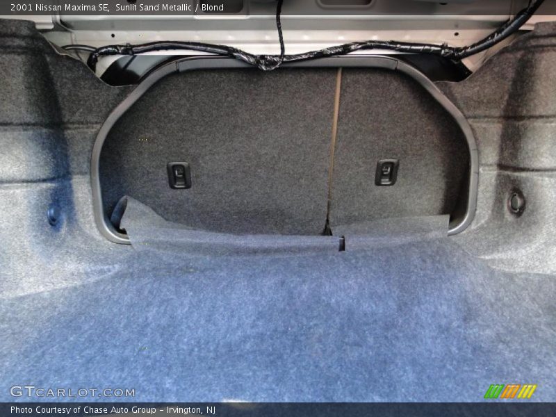 Sunlit Sand Metallic / Blond 2001 Nissan Maxima SE