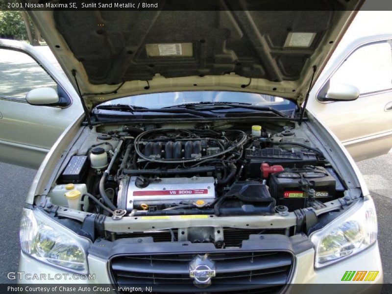 Sunlit Sand Metallic / Blond 2001 Nissan Maxima SE