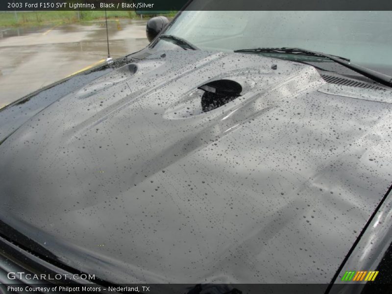 Black / Black/Silver 2003 Ford F150 SVT Lightning