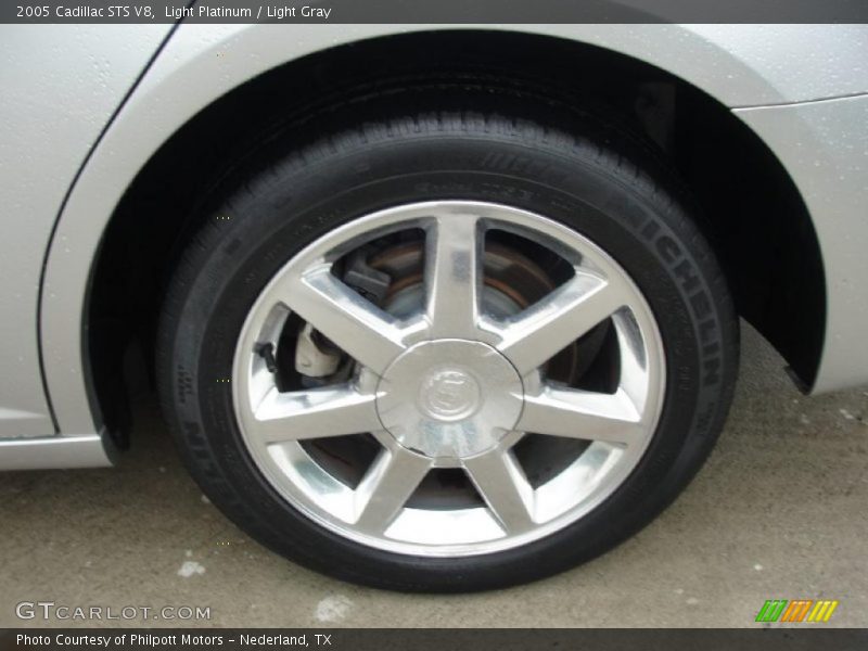 Light Platinum / Light Gray 2005 Cadillac STS V8