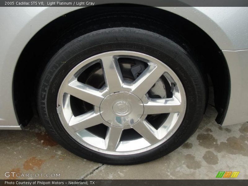 Light Platinum / Light Gray 2005 Cadillac STS V8