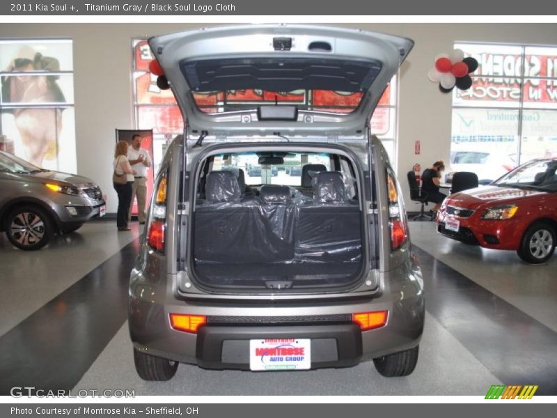 Titanium Gray / Black Soul Logo Cloth 2011 Kia Soul +