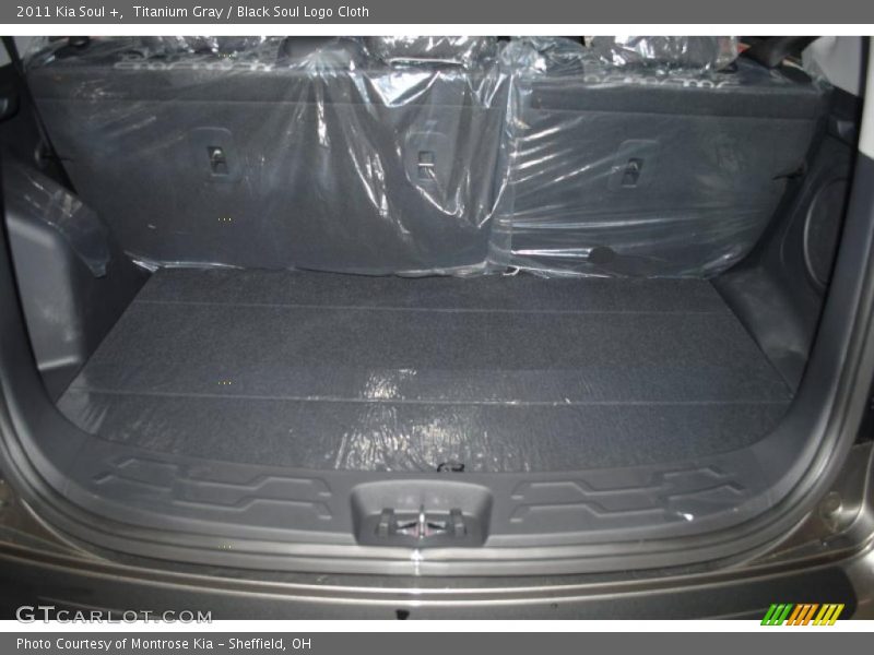Titanium Gray / Black Soul Logo Cloth 2011 Kia Soul +