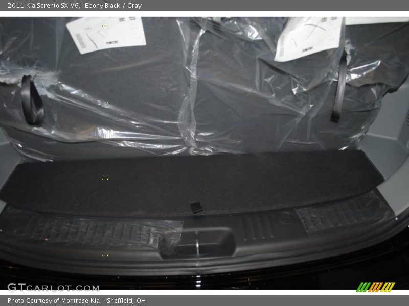 Ebony Black / Gray 2011 Kia Sorento SX V6