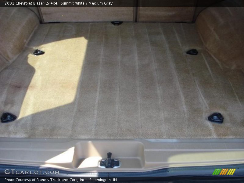 Summit White / Medium Gray 2001 Chevrolet Blazer LS 4x4