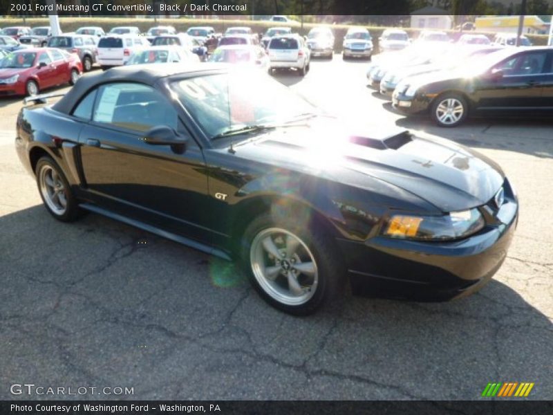 Black / Dark Charcoal 2001 Ford Mustang GT Convertible