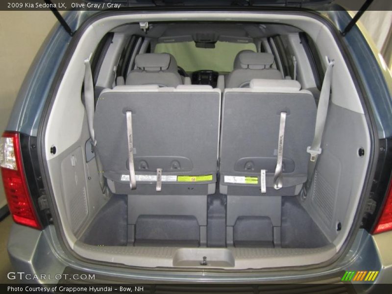 Olive Gray / Gray 2009 Kia Sedona LX