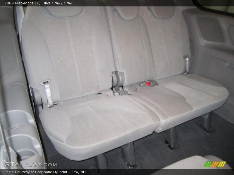 Olive Gray / Gray 2009 Kia Sedona LX