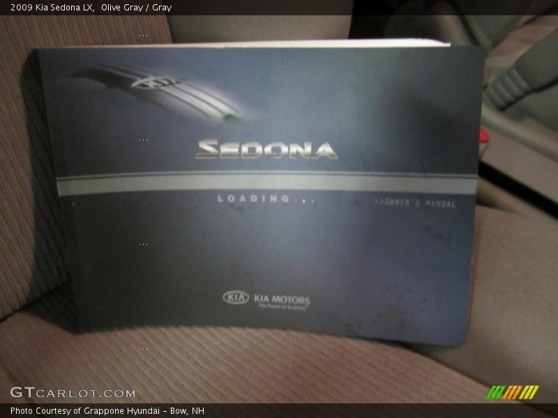 Olive Gray / Gray 2009 Kia Sedona LX