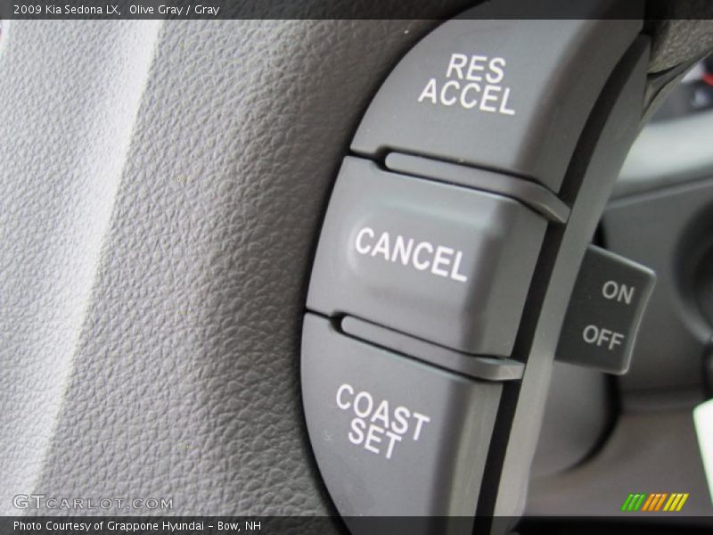 Olive Gray / Gray 2009 Kia Sedona LX