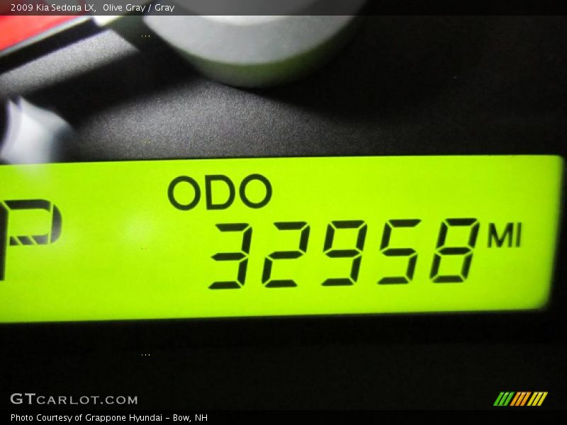 Olive Gray / Gray 2009 Kia Sedona LX