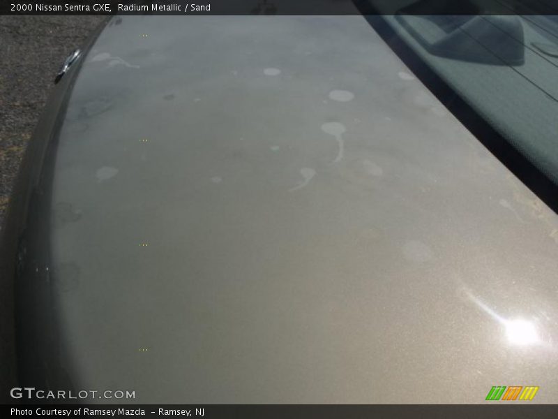 Radium Metallic / Sand 2000 Nissan Sentra GXE