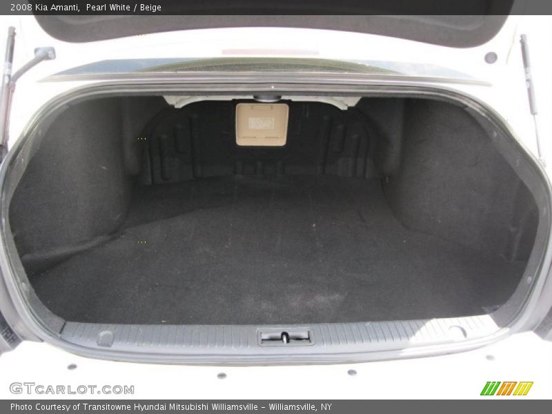 Pearl White / Beige 2008 Kia Amanti
