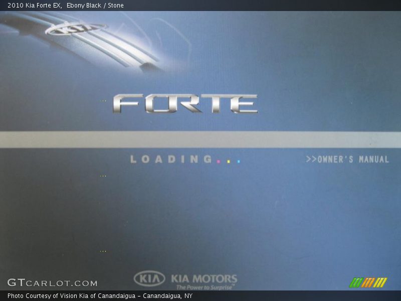 Ebony Black / Stone 2010 Kia Forte EX