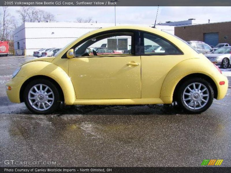 Sunflower Yellow / Black 2005 Volkswagen New Beetle GLS Coupe