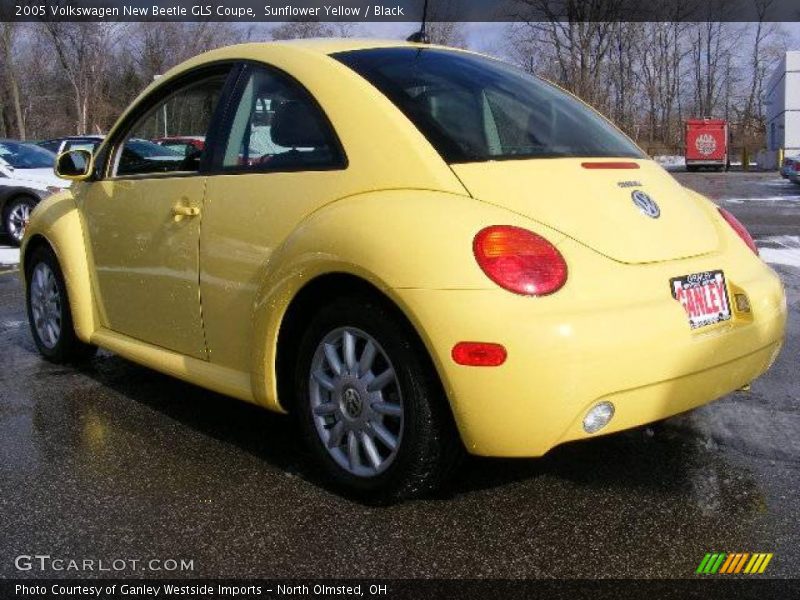 Sunflower Yellow / Black 2005 Volkswagen New Beetle GLS Coupe