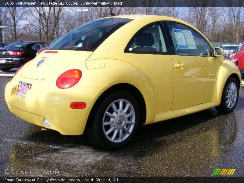 Sunflower Yellow / Black 2005 Volkswagen New Beetle GLS Coupe