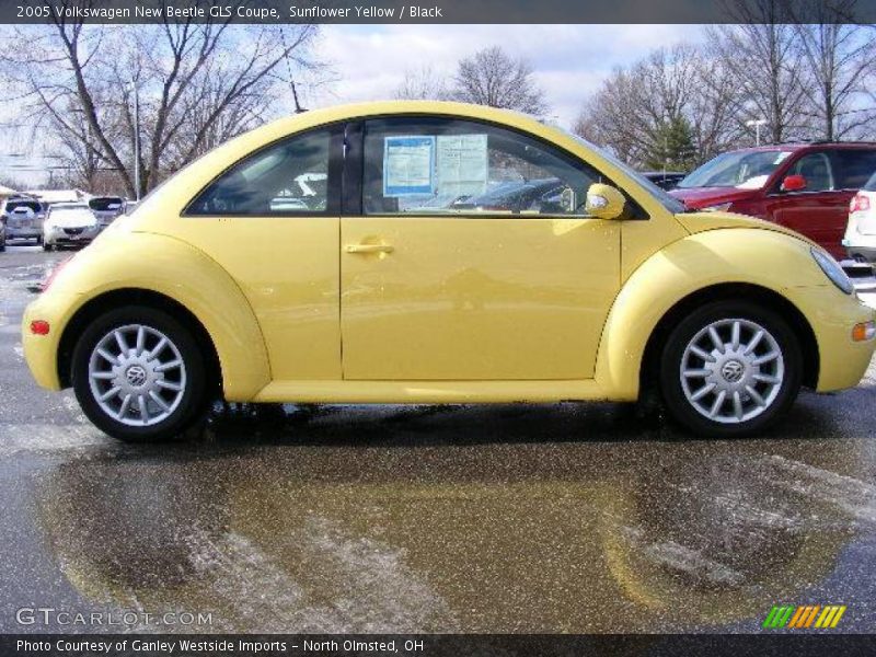 Sunflower Yellow / Black 2005 Volkswagen New Beetle GLS Coupe