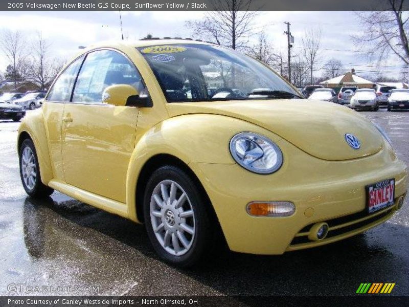 Sunflower Yellow / Black 2005 Volkswagen New Beetle GLS Coupe