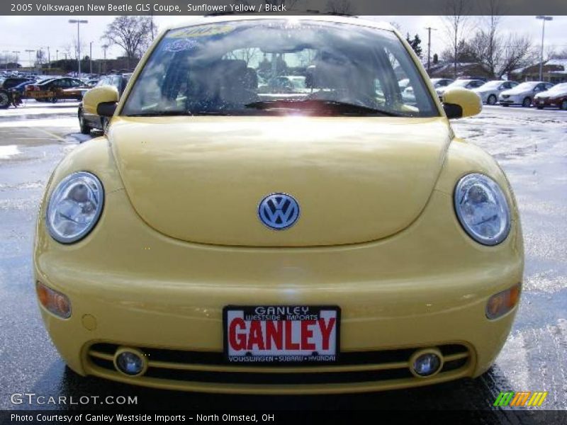 Sunflower Yellow / Black 2005 Volkswagen New Beetle GLS Coupe
