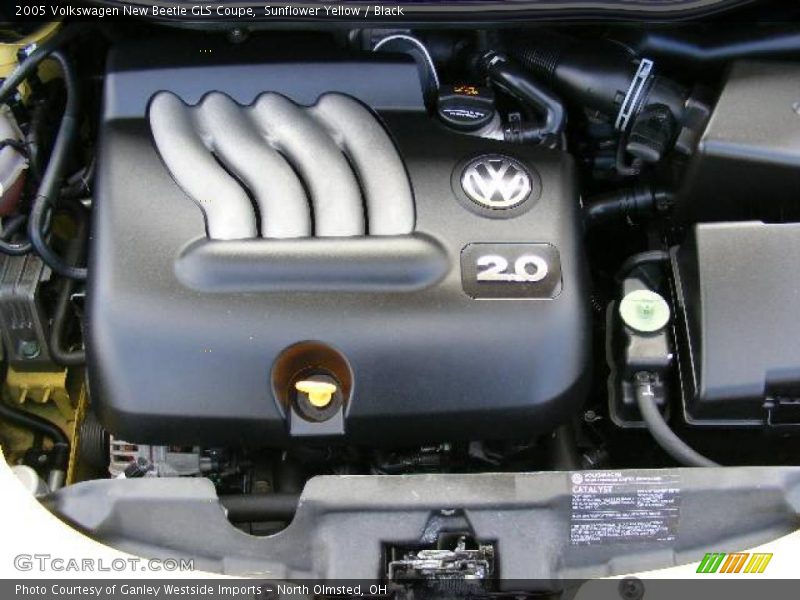 Sunflower Yellow / Black 2005 Volkswagen New Beetle GLS Coupe
