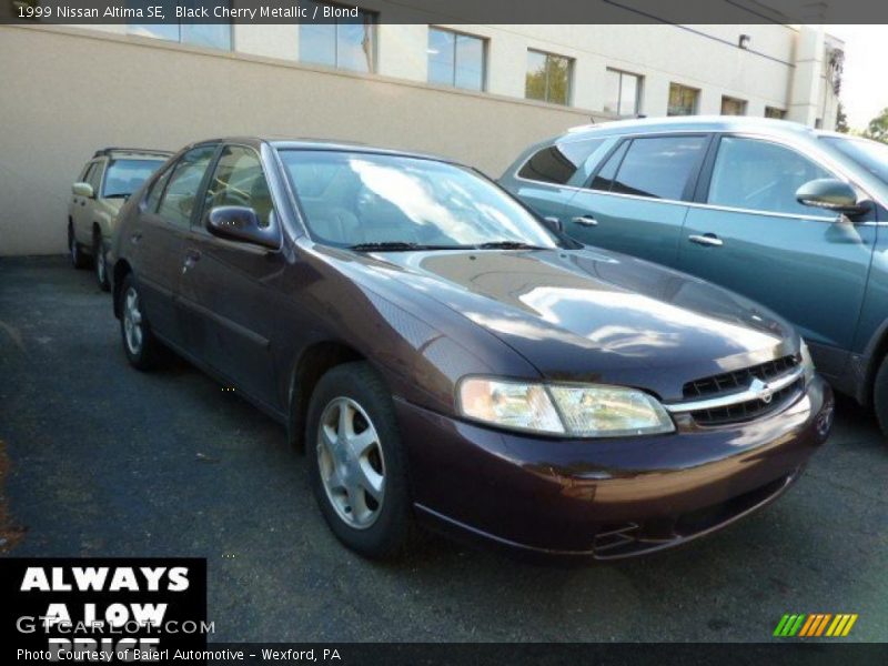 Black Cherry Metallic / Blond 1999 Nissan Altima SE