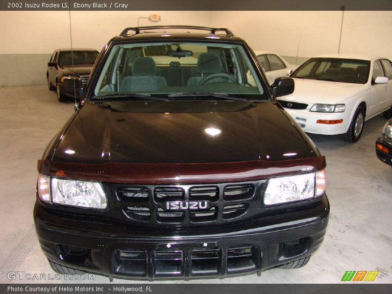 Ebony Black / Gray 2002 Isuzu Rodeo LS