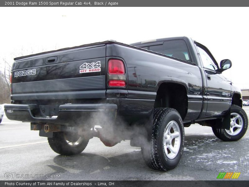 Black / Agate 2001 Dodge Ram 1500 Sport Regular Cab 4x4