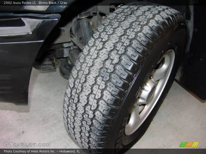 Ebony Black / Gray 2002 Isuzu Rodeo LS