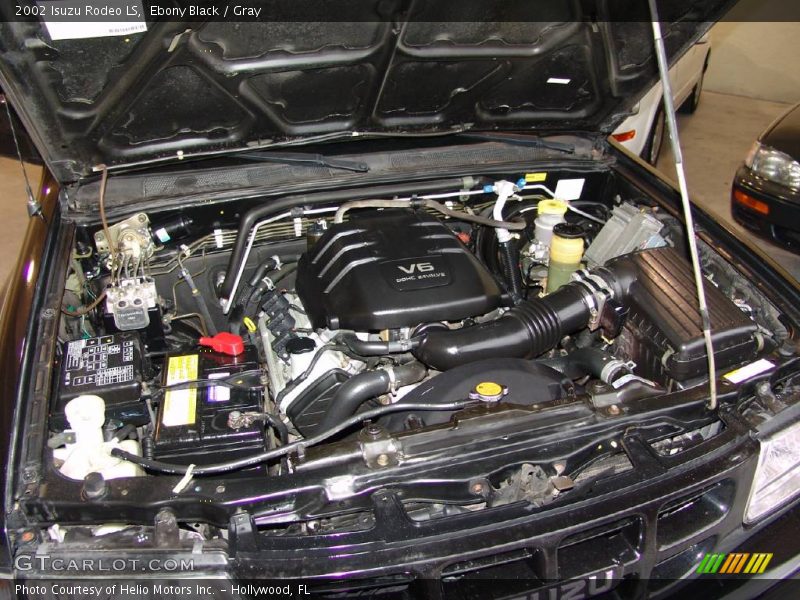 Ebony Black / Gray 2002 Isuzu Rodeo LS