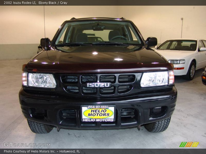 Ebony Black / Gray 2002 Isuzu Rodeo LS