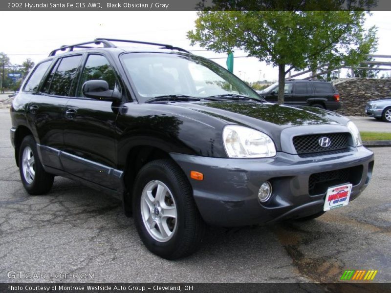 Black Obsidian / Gray 2002 Hyundai Santa Fe GLS AWD