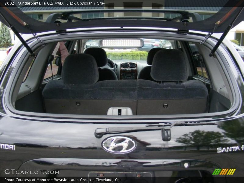 Black Obsidian / Gray 2002 Hyundai Santa Fe GLS AWD