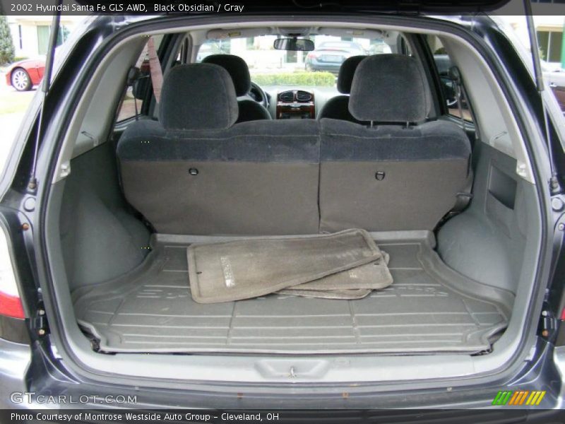 Black Obsidian / Gray 2002 Hyundai Santa Fe GLS AWD