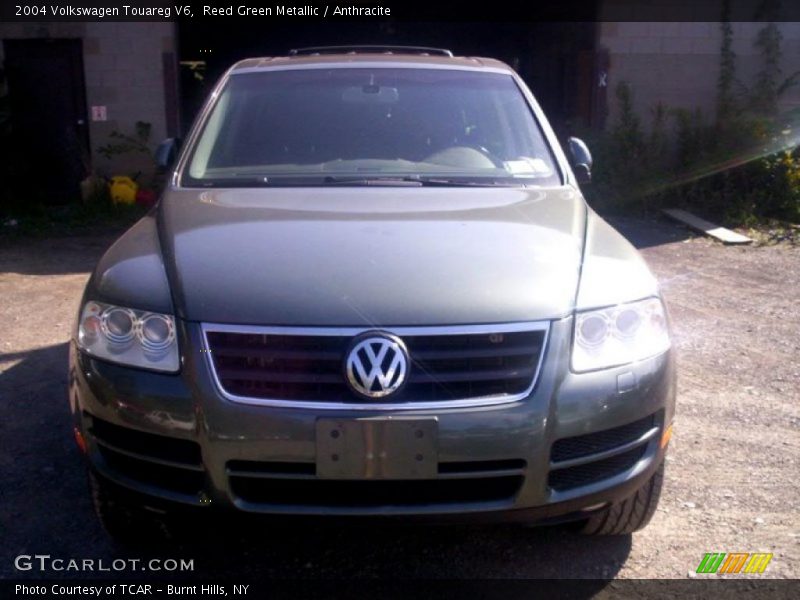 Reed Green Metallic / Anthracite 2004 Volkswagen Touareg V6