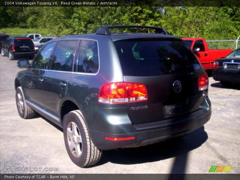 Reed Green Metallic / Anthracite 2004 Volkswagen Touareg V6