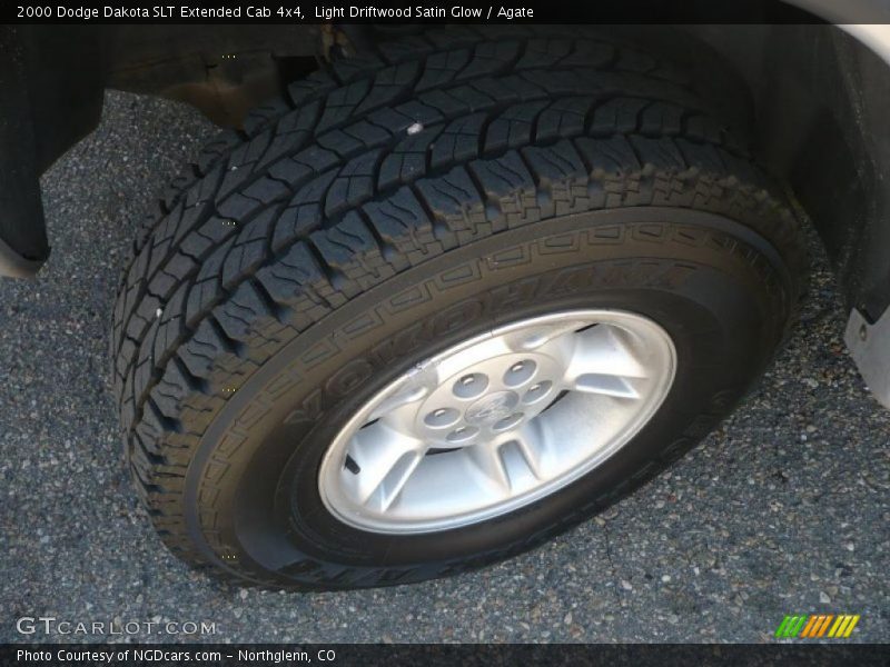 Light Driftwood Satin Glow / Agate 2000 Dodge Dakota SLT Extended Cab 4x4