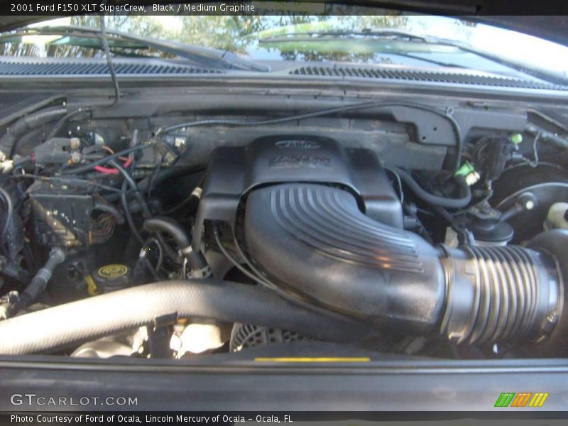 Black / Medium Graphite 2001 Ford F150 XLT SuperCrew