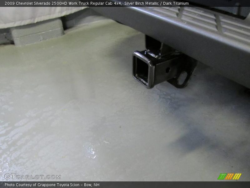 Silver Birch Metallic / Dark Titanium 2009 Chevrolet Silverado 2500HD Work Truck Regular Cab 4x4