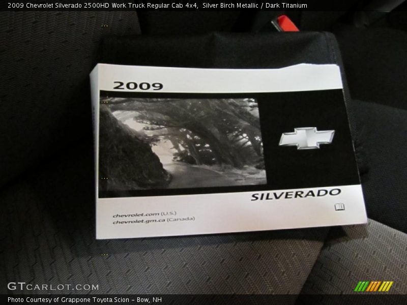 Silver Birch Metallic / Dark Titanium 2009 Chevrolet Silverado 2500HD Work Truck Regular Cab 4x4