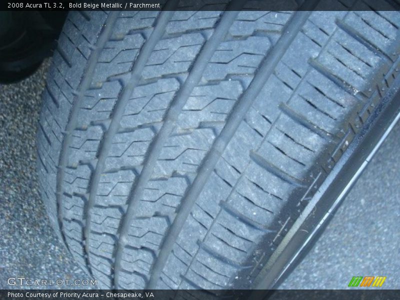 Bold Beige Metallic / Parchment 2008 Acura TL 3.2