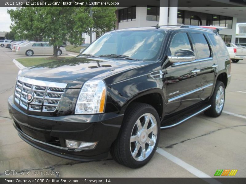Black Raven / Cashmere/Cocoa 2011 Cadillac Escalade Luxury