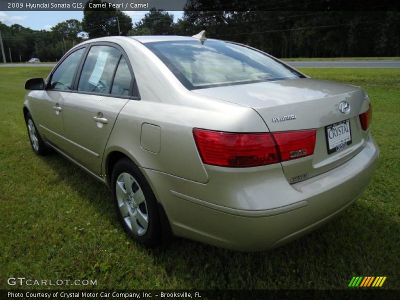 Camel Pearl / Camel 2009 Hyundai Sonata GLS
