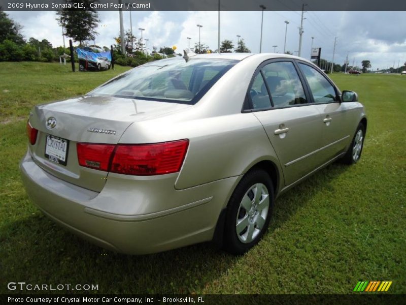 Camel Pearl / Camel 2009 Hyundai Sonata GLS