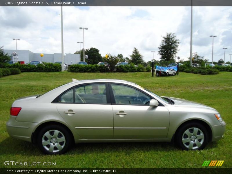 Camel Pearl / Camel 2009 Hyundai Sonata GLS